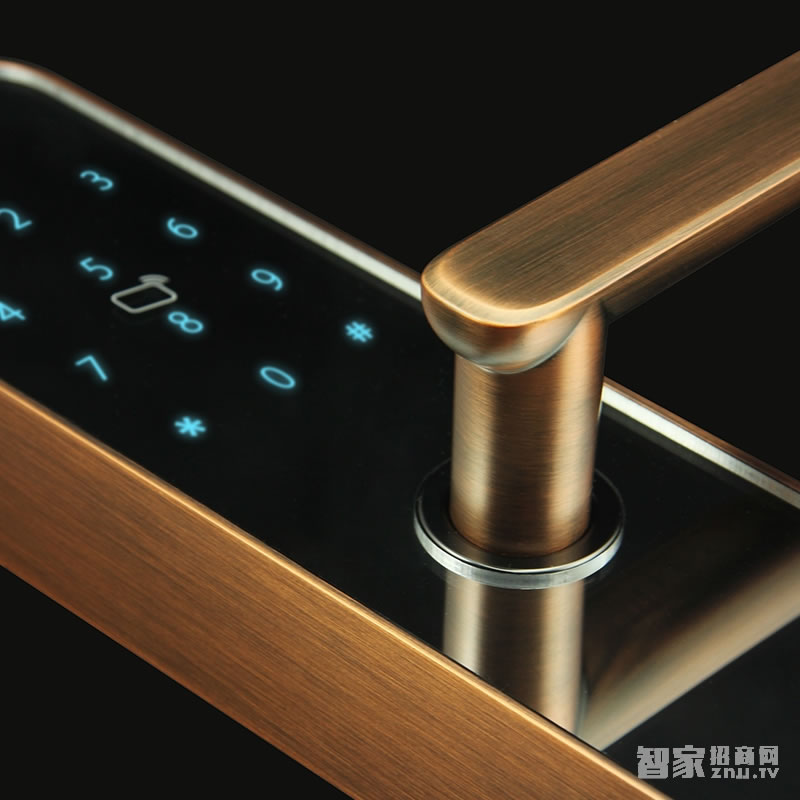 大华乐橙密码指纹锁 家用防盗电子锁