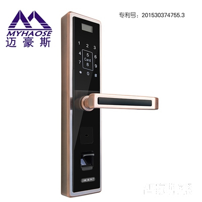 家旺盛家用智能遥控门锁 防盗门专用智能锁