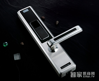 日日红智能锁 家用智能指纹锁 公寓防盗门锁