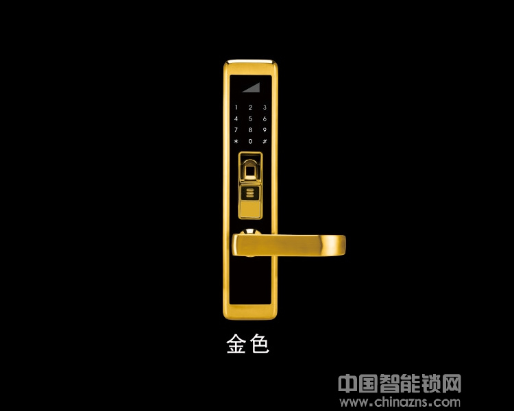 佳悦鑫指纹锁JYX-T8800智能锁 家用防盗门电子锁