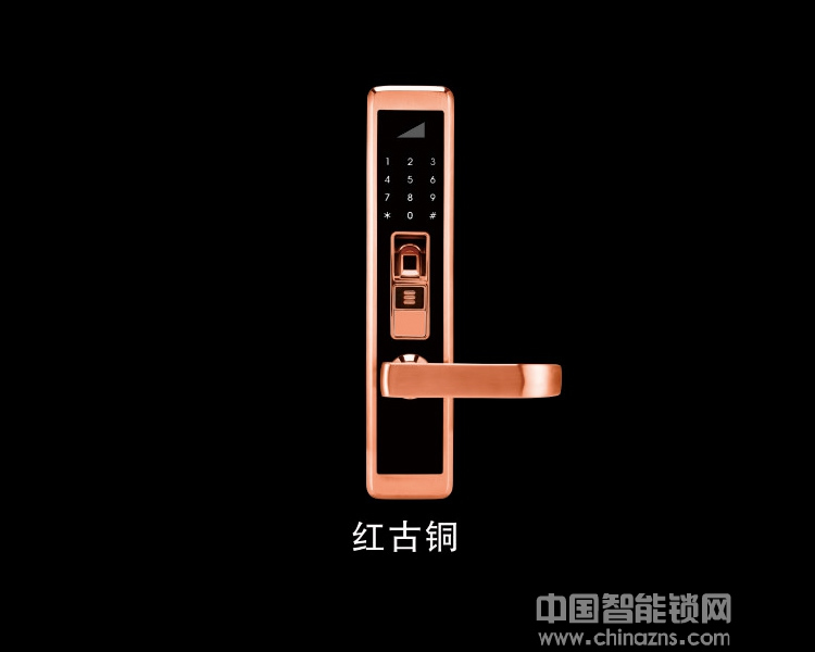 佳悦鑫指纹锁JYX-T8800智能锁 家用防盗门电子锁