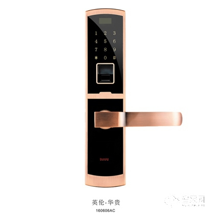 欧超直板智能锁 指纹密码锁 直板锁英伦华贵160606