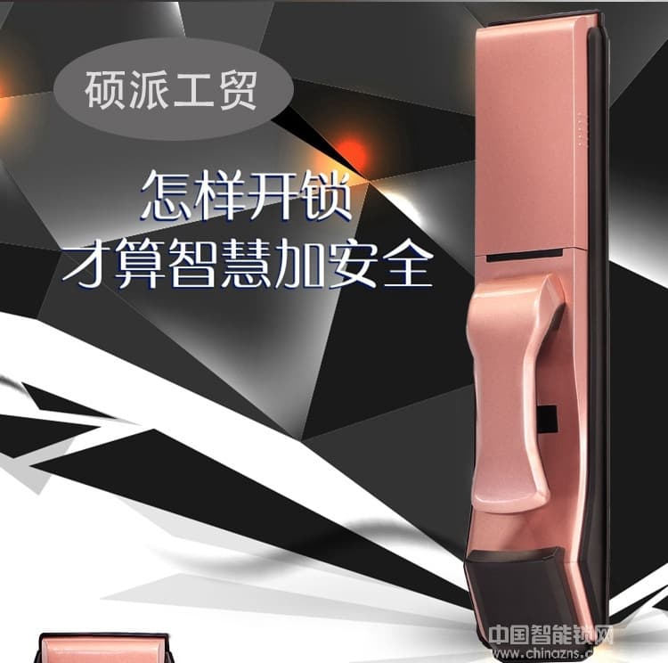 硕派木门智能电子密码锁 滑盖指纹锁