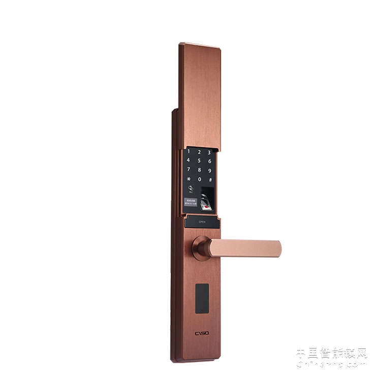 西巢电动滑盖指纹锁 RSDXC-QS650 电子密码门锁