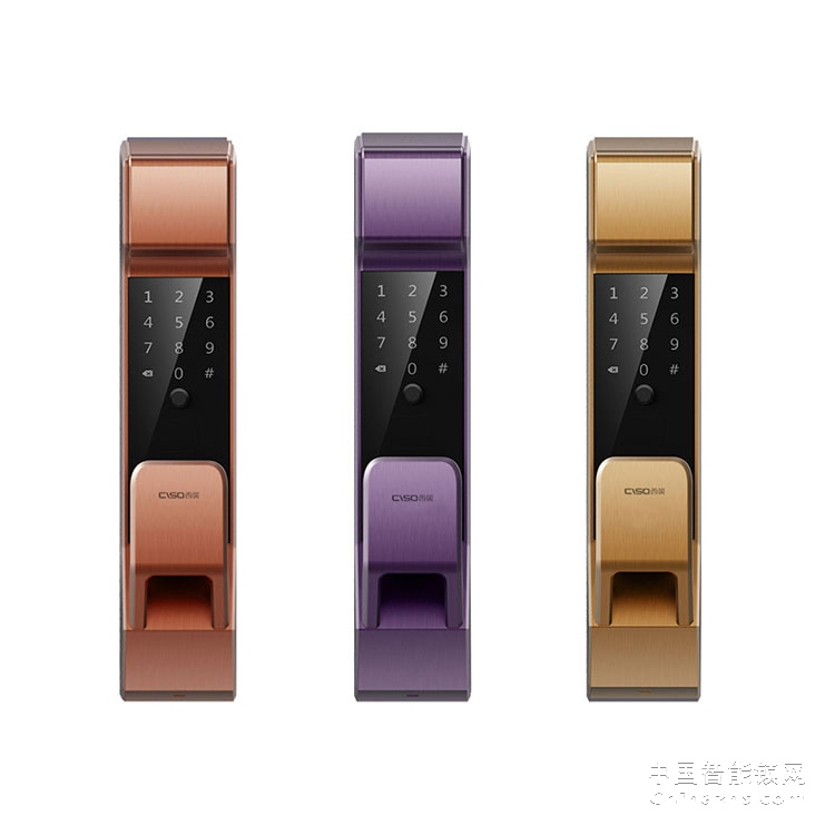 西巢家用指纹锁 RSDXC-QS633 APP大门锁