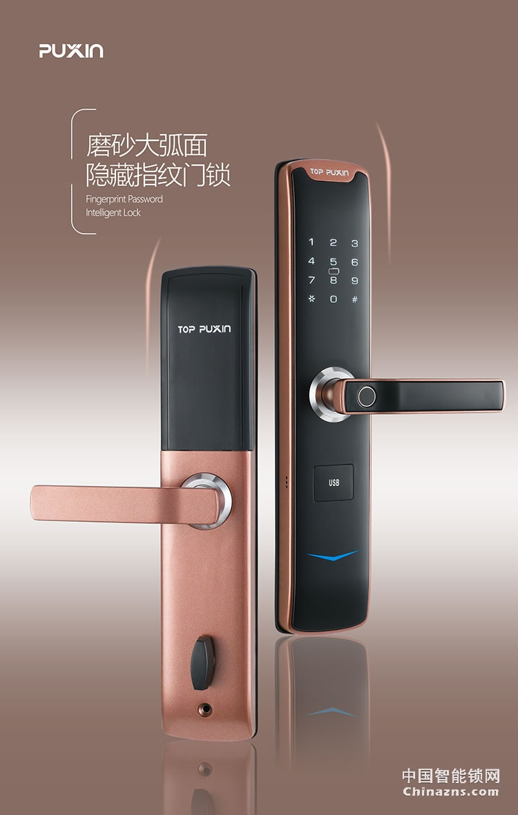 普鑫智能指纹密码锁 家用防盗门锁 大门磁卡感应电子锁