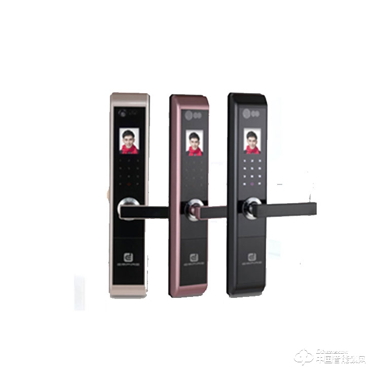 伊派尔指纹锁 LE07S人脸识别智能锁
