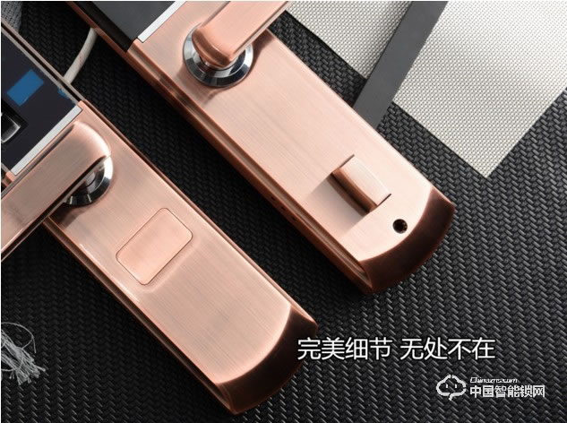 伊派尔指纹锁 人脸识别掌静脉指纹锁家用防盗门锁密码锁智能锁