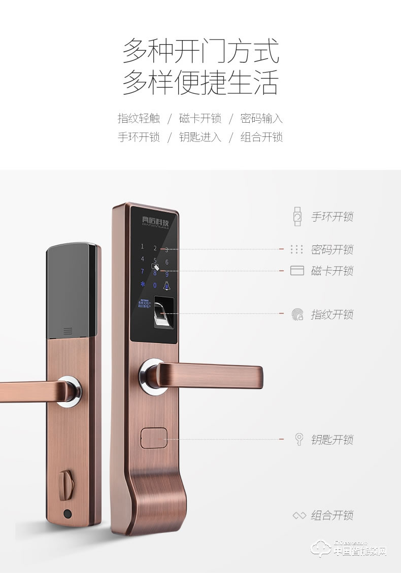 典匠智能锁 D6015家用防盗门密码锁大门锁