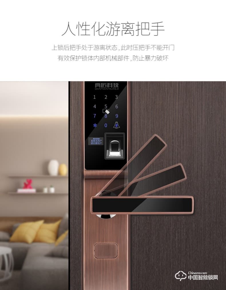 典匠智能锁 D6013指纹锁密码锁安防智能锁