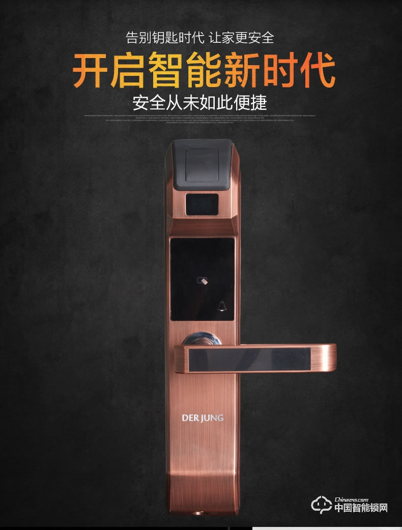 典匠智能锁 D6017智能家用防盗门半导体指纹锁密码锁