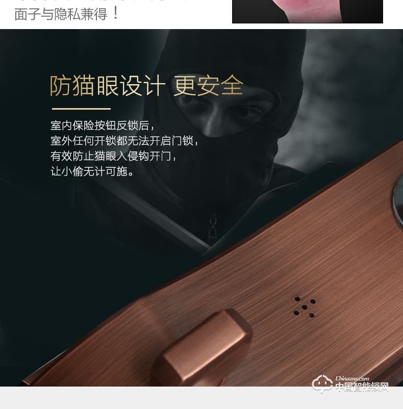 典匠智能锁 D6017智能家用防盗门半导体指纹锁密码锁