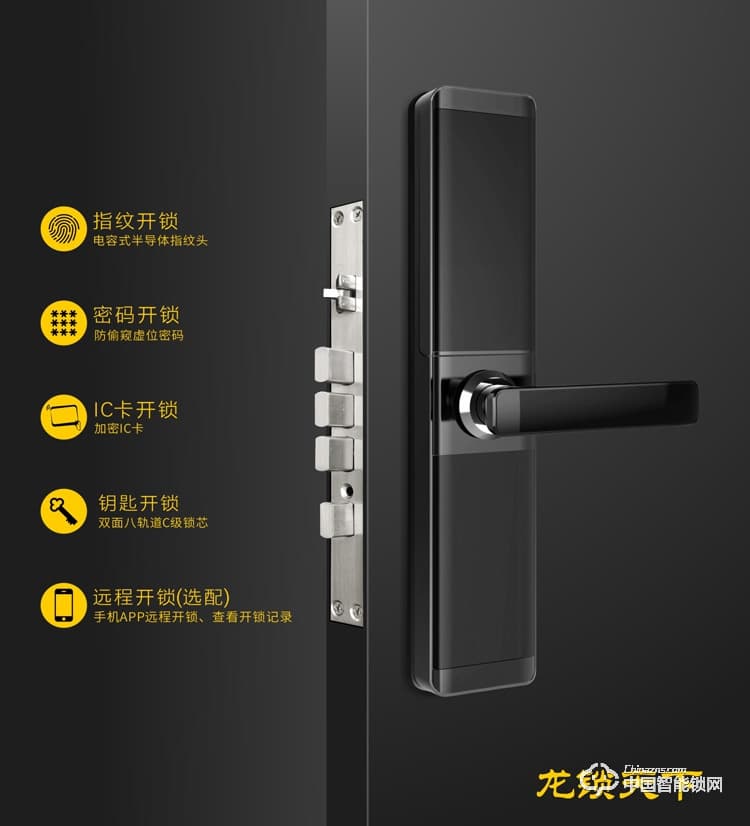龙锁天下智能锁 智能锁 指纹锁 密码锁家用防盗门锁电子锁Z12