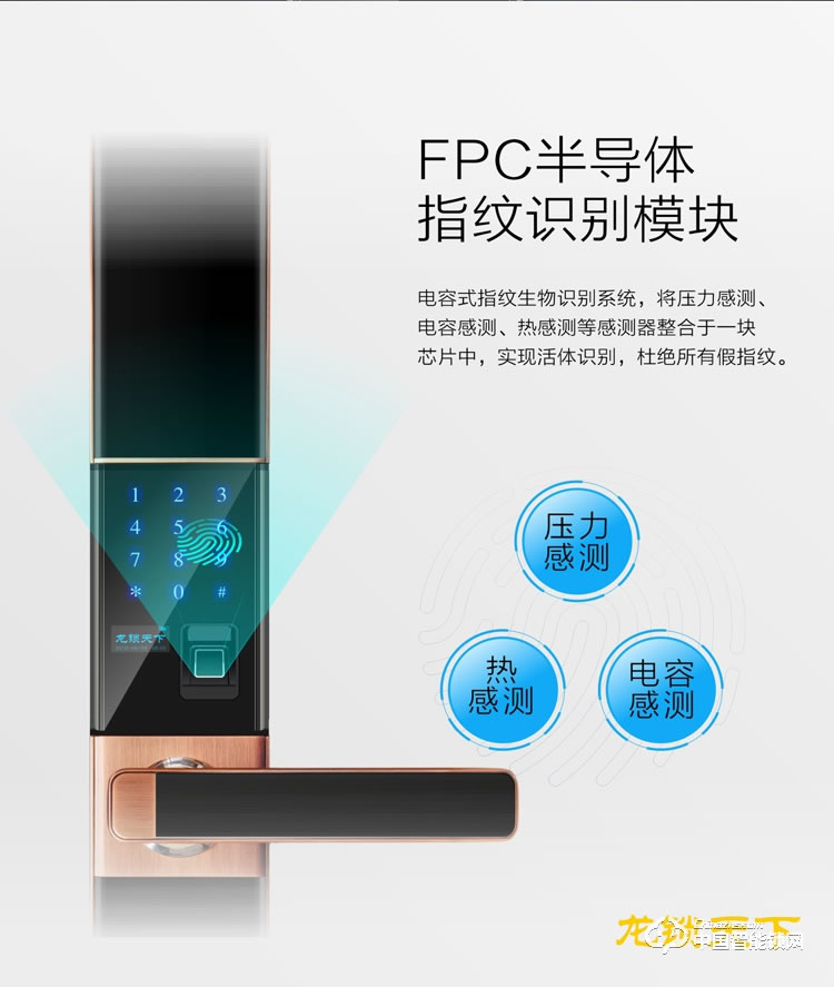 龙锁天下智能锁 智能锁 指纹锁 密码锁家用防盗门锁电子锁Z12