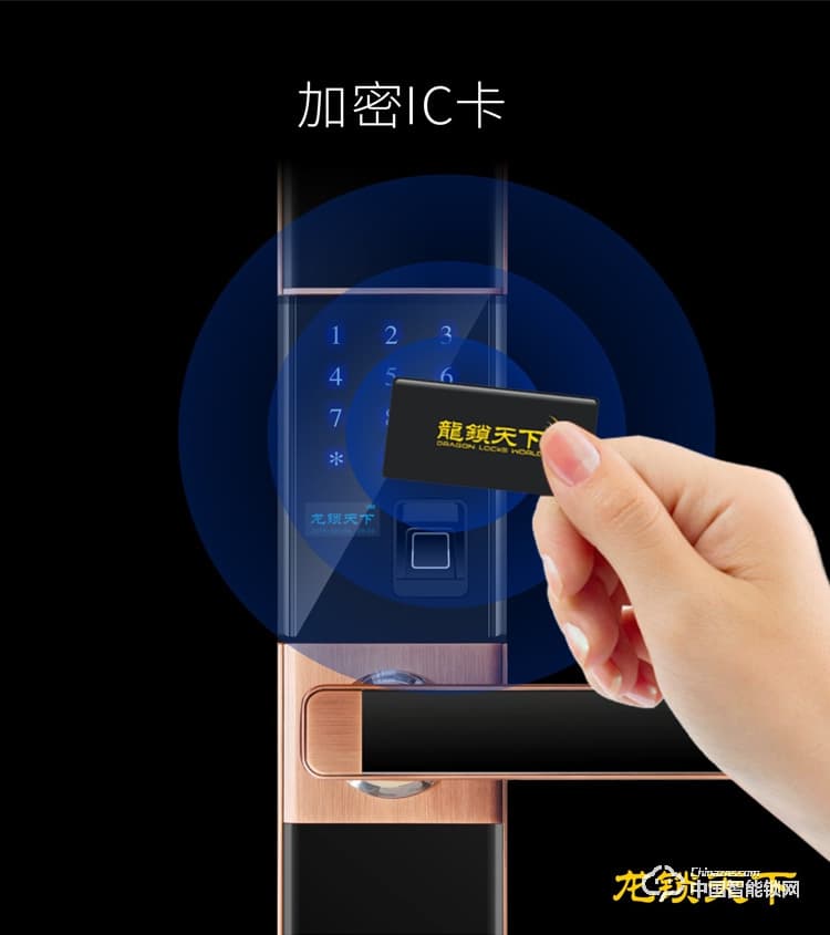 龙锁天下智能锁 智能锁 指纹锁 密码锁家用防盗门锁电子锁Z12