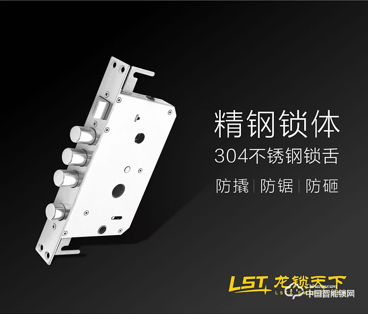 龙锁天下智能锁 指纹密码锁 防盗智能门锁Q5