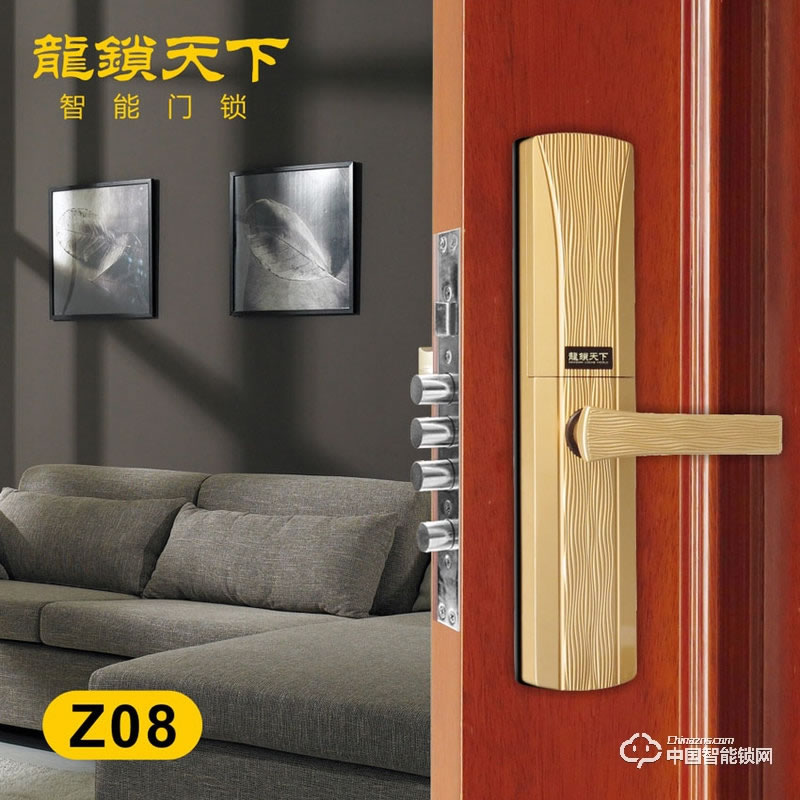 龙锁天下智能锁 滑盖指纹密码锁 防盗门智能锁Z08