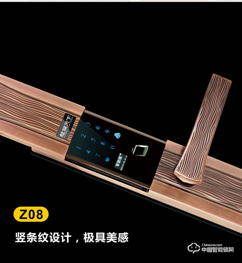 龙锁天下智能锁 滑盖指纹密码锁 防盗门智能锁Z08