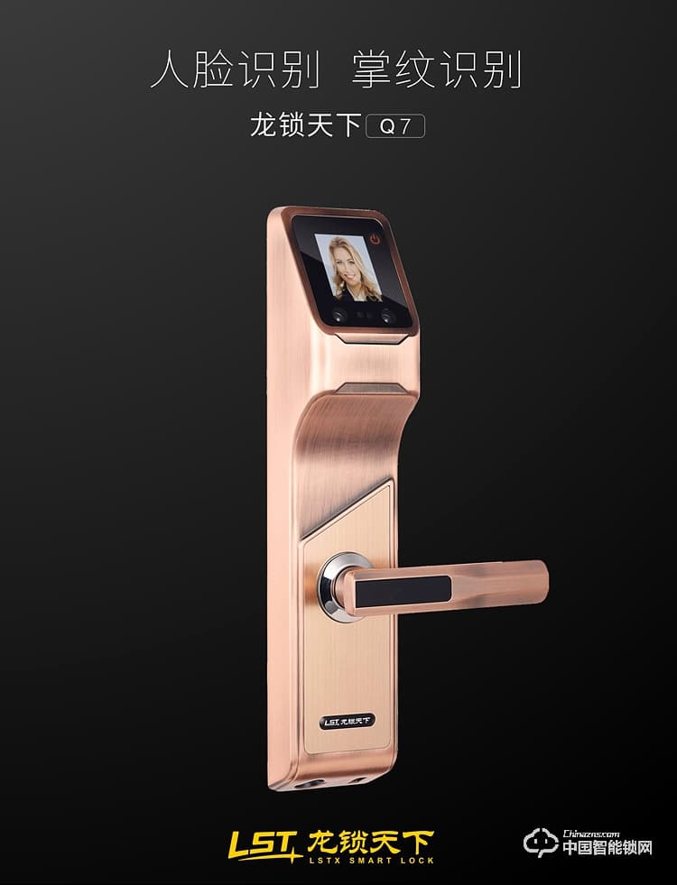 龙锁天下智能锁 人脸识别智能锁 防盗门智能锁Q7