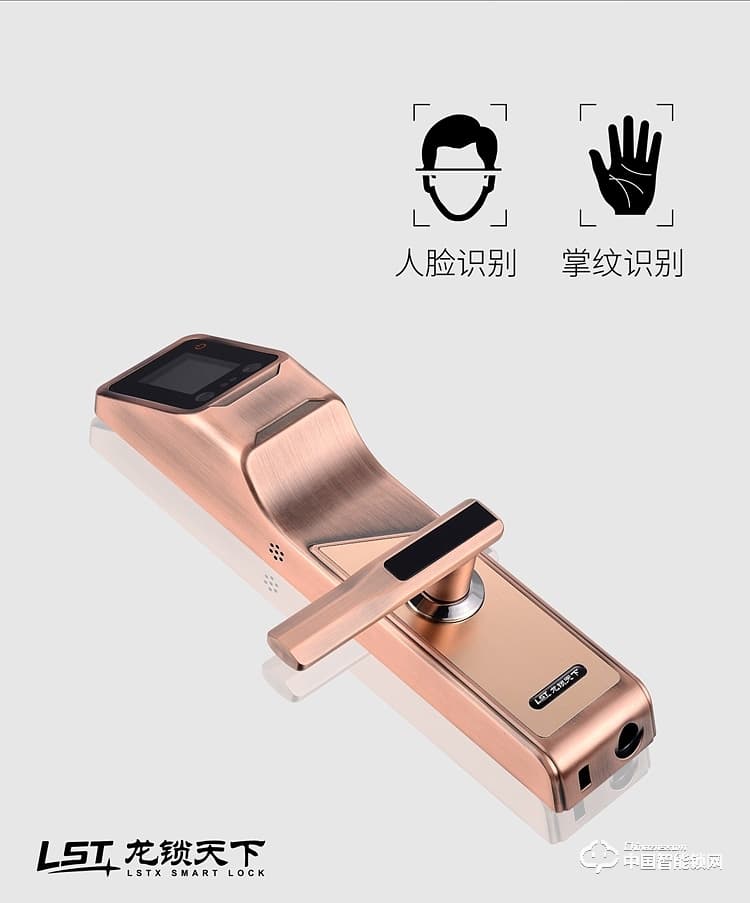 龙锁天下智能锁 人脸识别智能锁 防盗门智能锁Q7