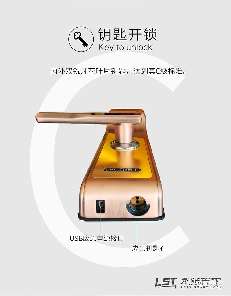 龙锁天下智能锁 人脸识别智能锁 防盗门智能锁Q7