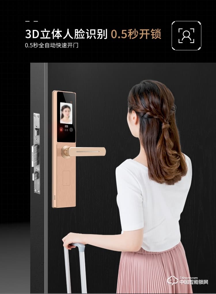 浩宇兴智能锁 人脸识别锁防盗门锁密码锁