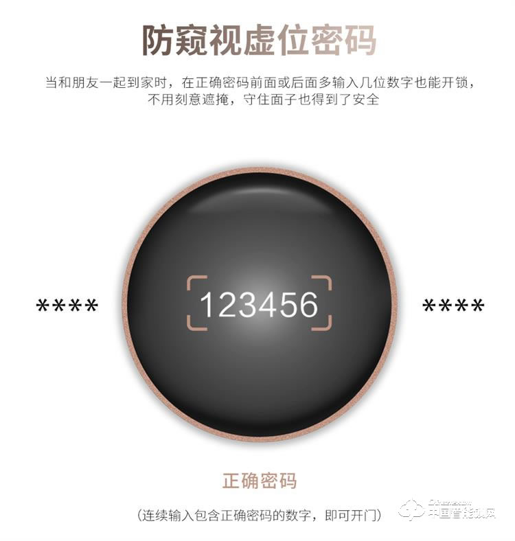 浩宇兴智能锁 人脸锁掌静脉密码锁手机远程开锁