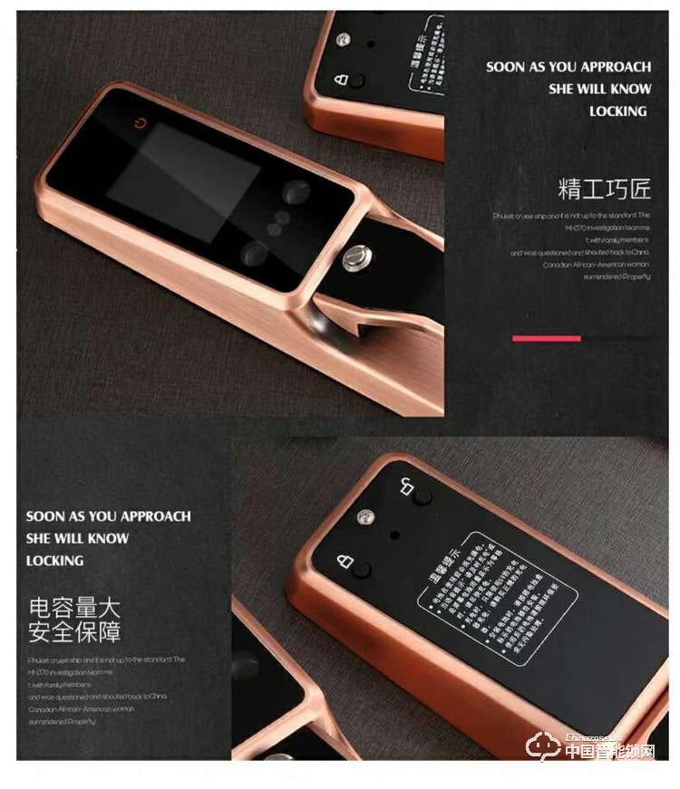 智得利智能锁 人脸识别智能锁 家用电子密码锁A-098