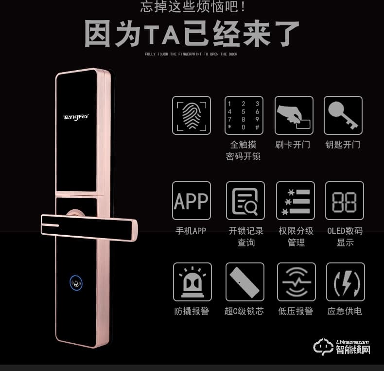 腾飞指纹锁 家用办公室内卧室房门大门电子防盗门锁