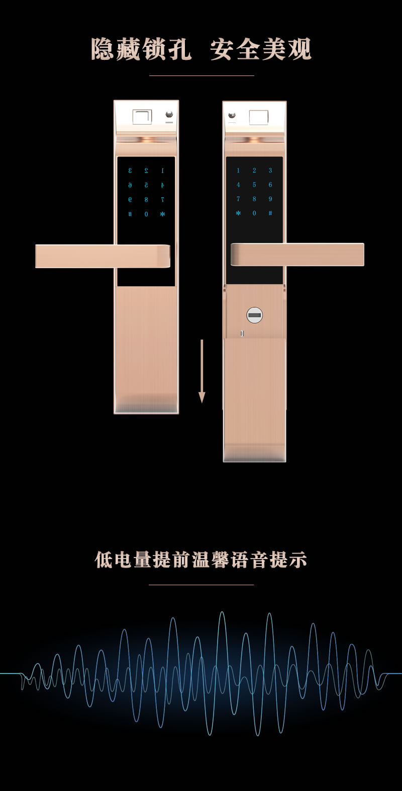 金网通智能锁 8301临时密码C级锁芯智能锁