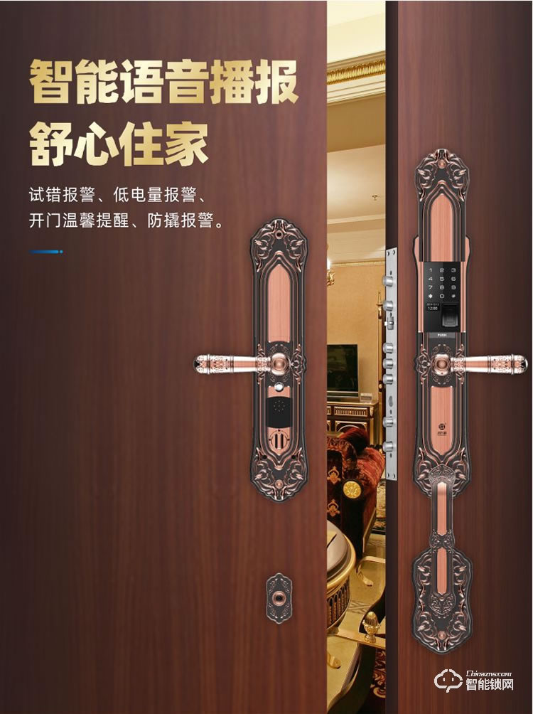 鸿兴福智能锁 D18豪华别墅智能指纹锁