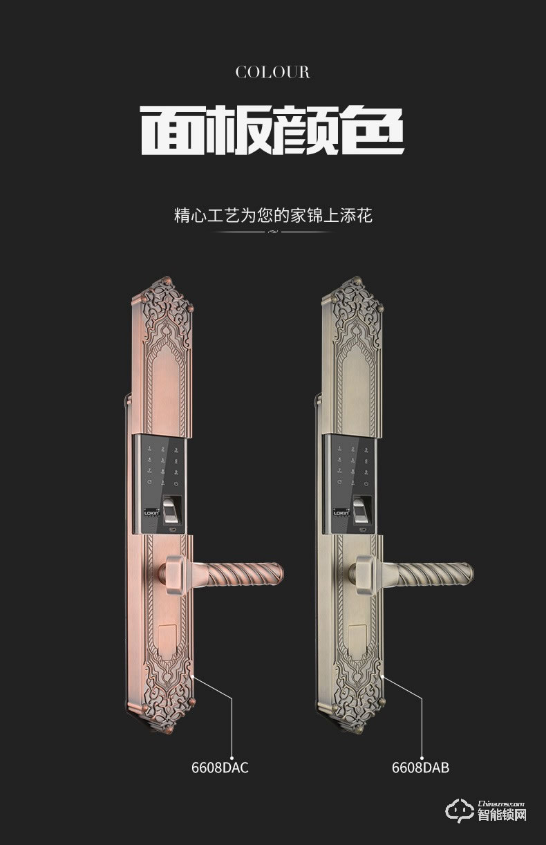 乐肯智能锁 6608欧式防盗门锁智能锁智能锁
