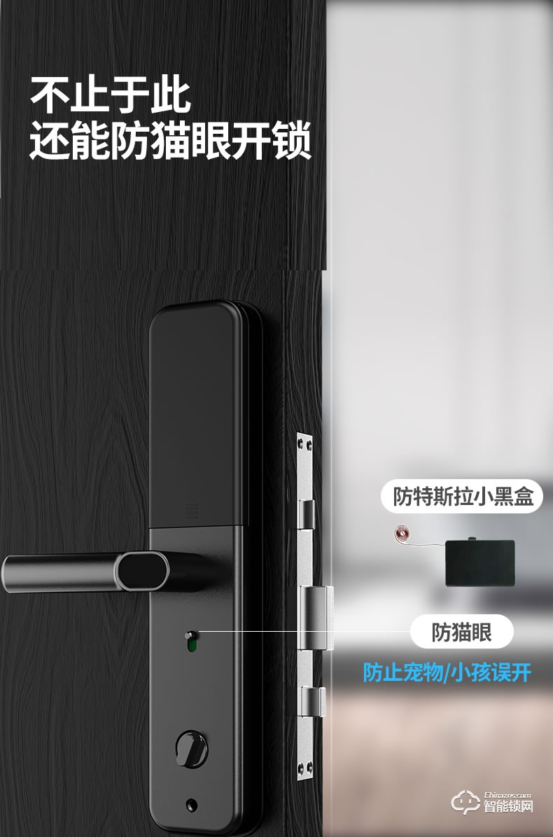 AOC智能锁 H8一握开家用防盗门智能门锁