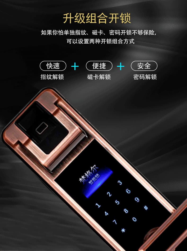 佰德龙智能锁 239家用防盗门电子密码锁