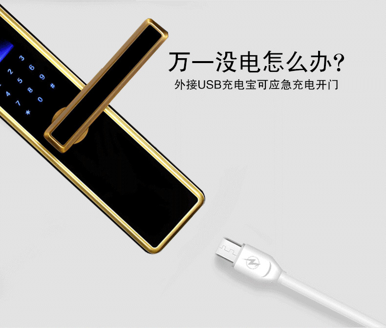 佰德龙智能锁 239家用防盗门电子密码锁