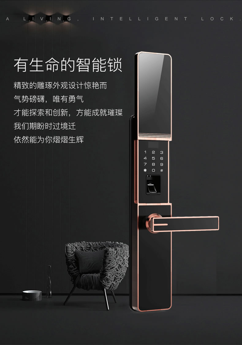 佰德龙智能锁 219家用防盗门指纹锁远程智能锁