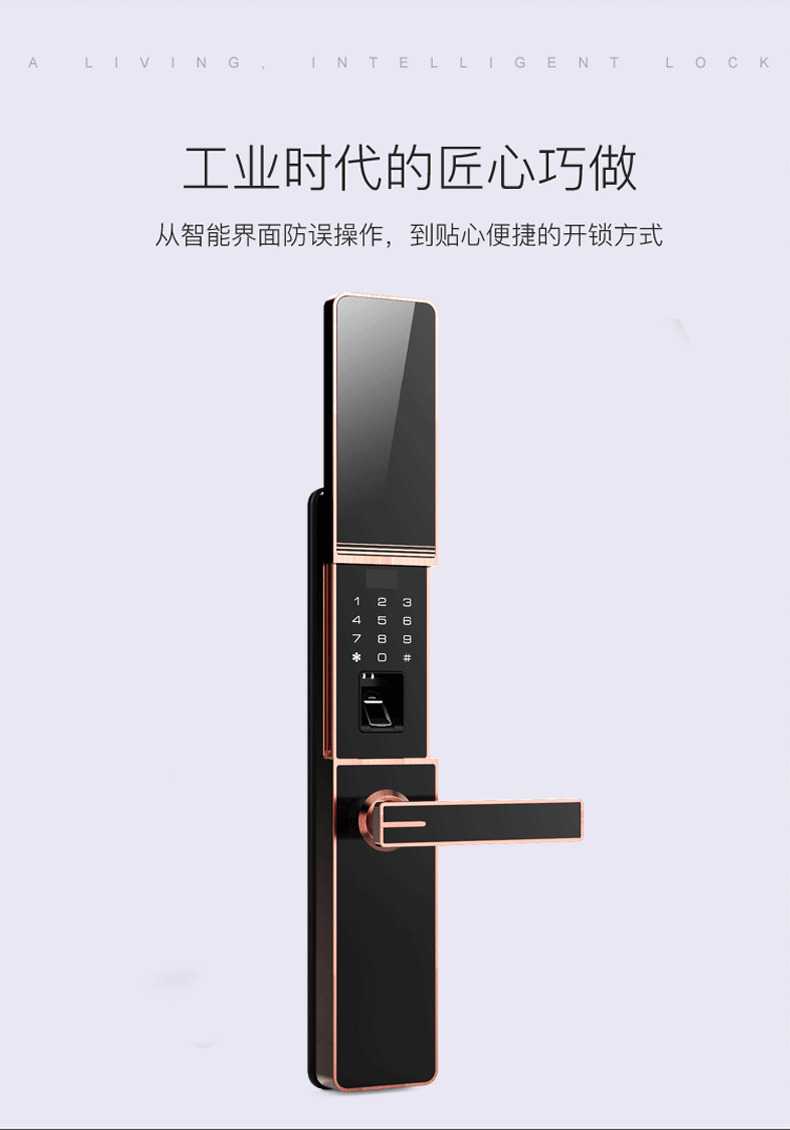 佰德龙智能锁 219家用防盗门指纹锁远程智能锁