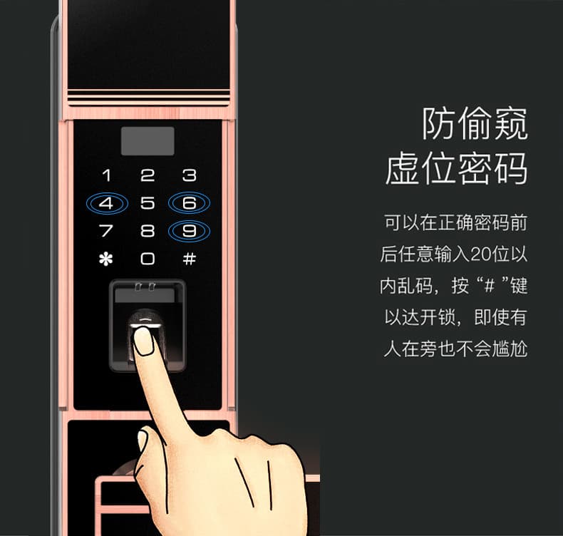 佰德龙智能锁 219家用防盗门指纹锁远程智能锁