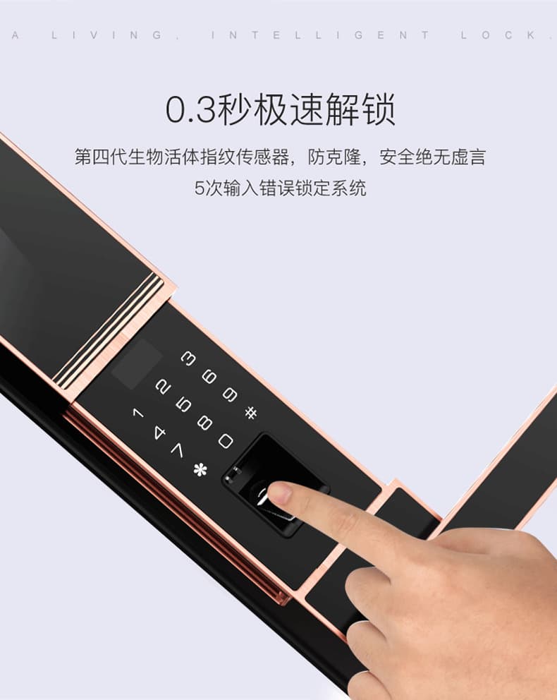 佰德龙智能锁 219家用防盗门指纹锁远程智能锁