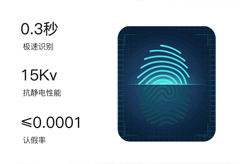 佰德龙智能锁 219家用防盗门指纹锁远程智能锁