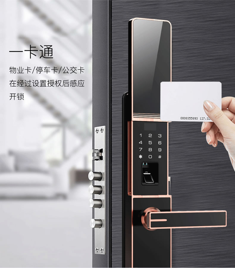 佰德龙智能锁 219家用防盗门指纹锁远程智能锁