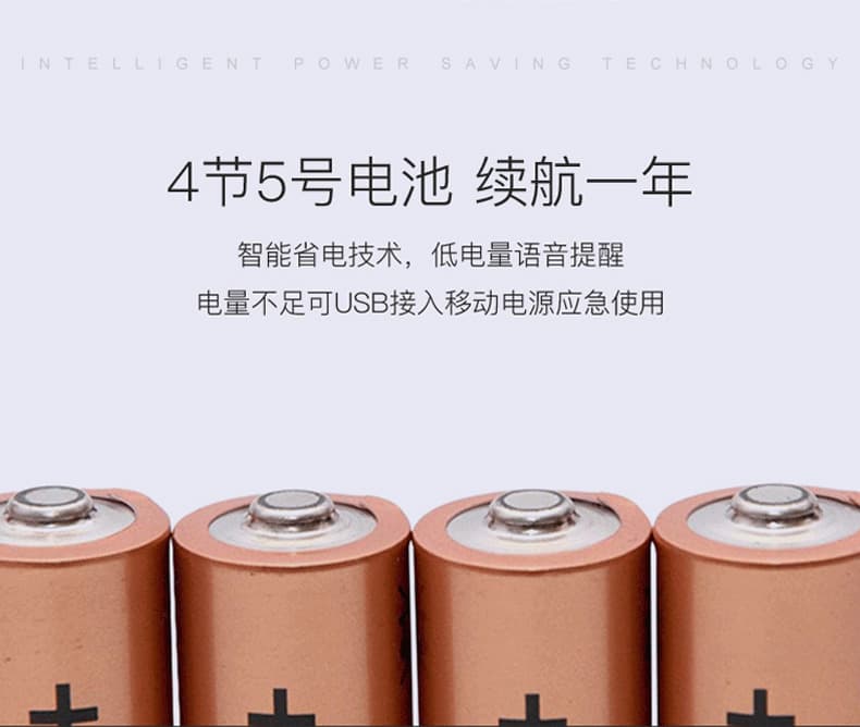 佰德龙智能锁 219家用防盗门指纹锁远程智能锁