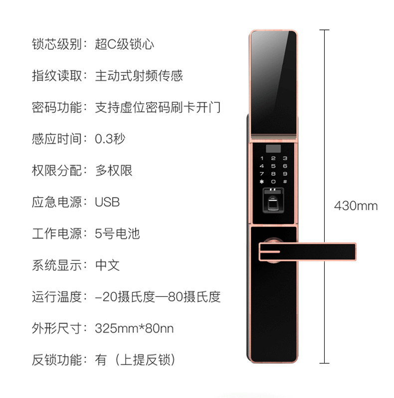 佰德龙智能锁 219家用防盗门指纹锁远程智能锁