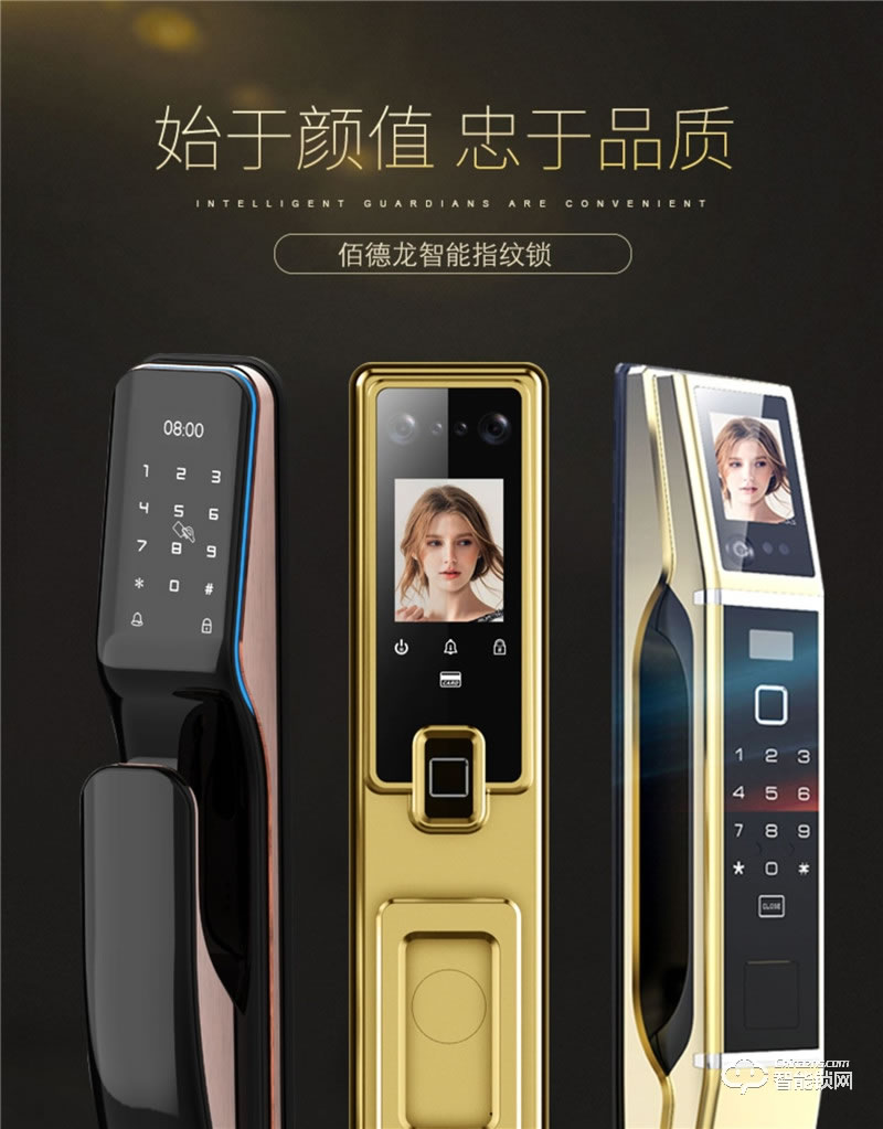佰德龙智能锁 Q9人脸识别锁智能门锁掌纹锁