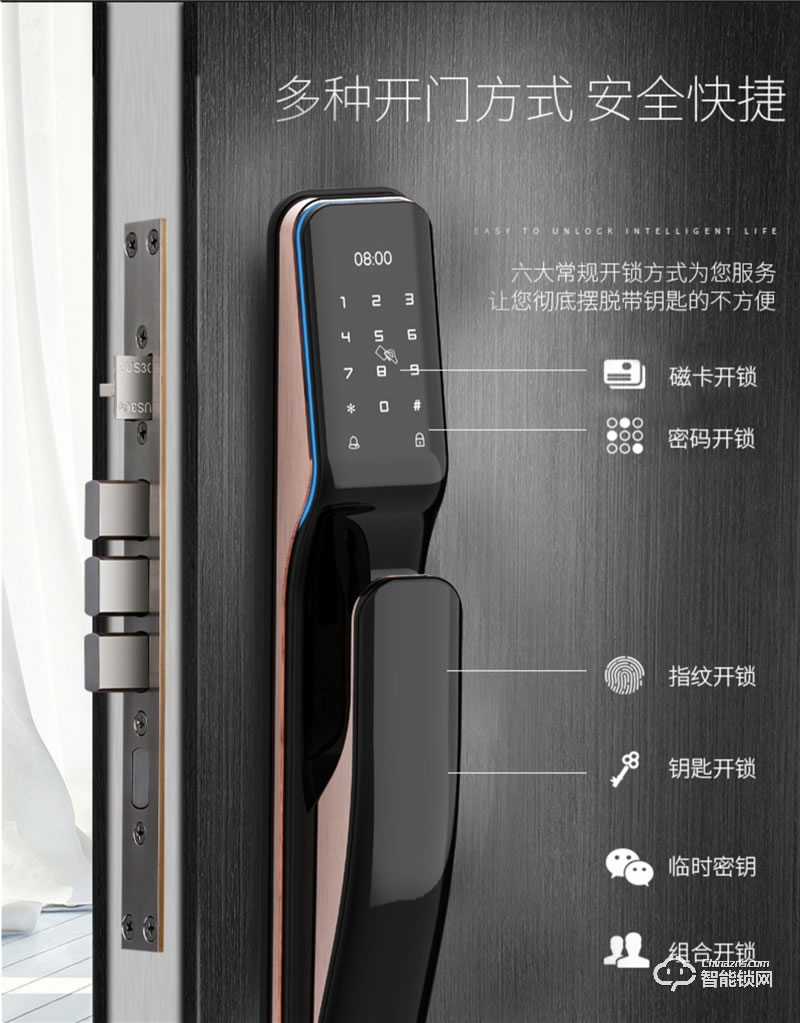 佰德龙智能锁 Q9人脸识别锁智能门锁掌纹锁