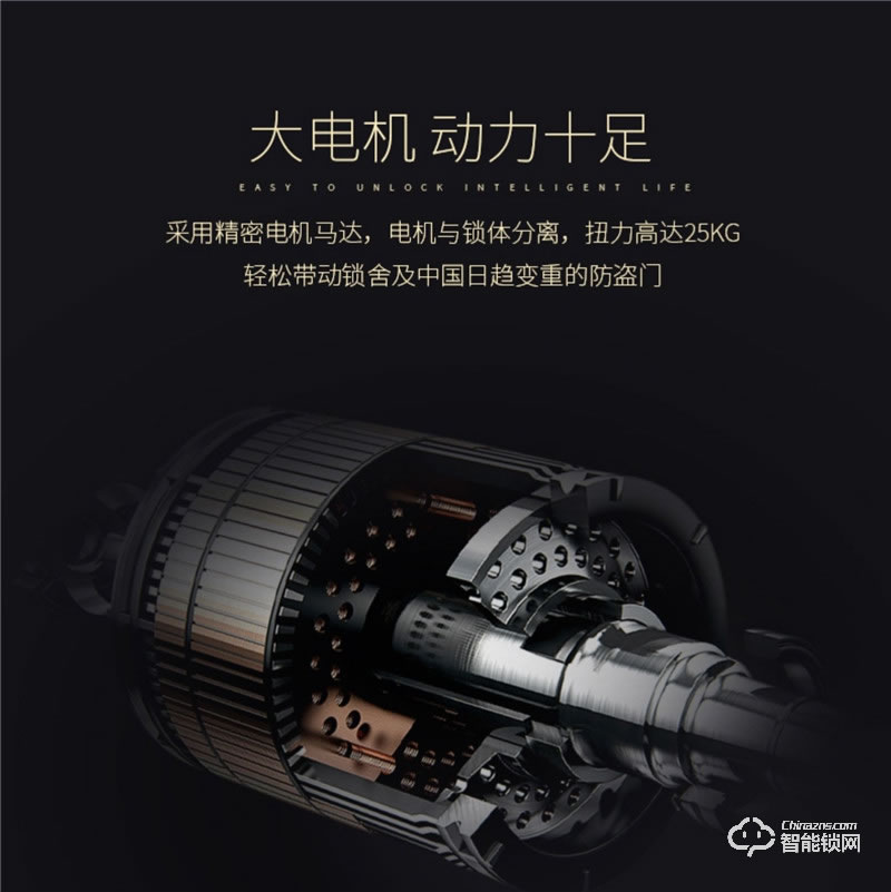 佰德龙智能锁 Q9人脸识别锁智能门锁掌纹锁