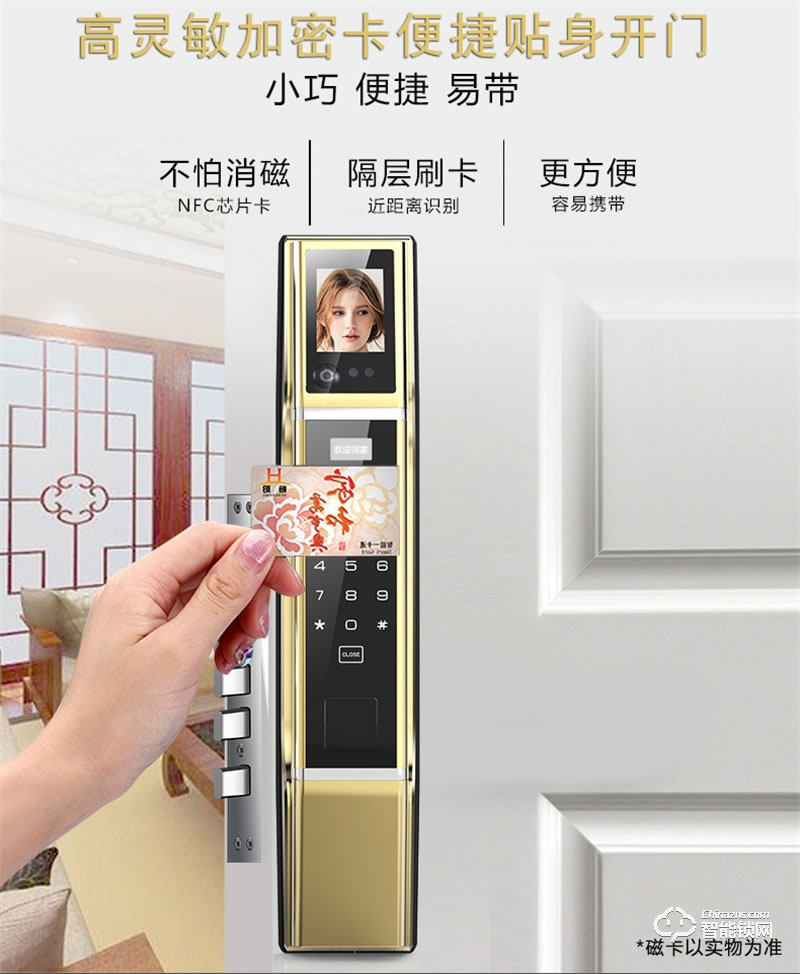 佰德龙智能锁 Q9人脸识别锁智能门锁掌纹锁