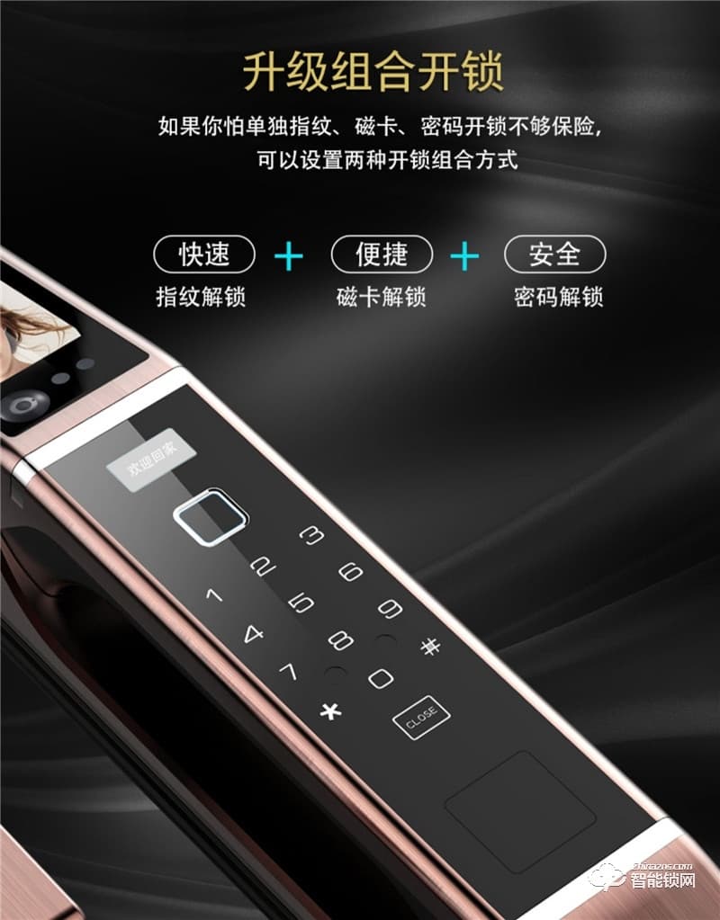 佰德龙智能锁 Q9人脸识别锁智能门锁掌纹锁