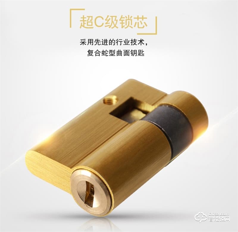 佰德龙智能锁 Q9人脸识别锁智能门锁掌纹锁