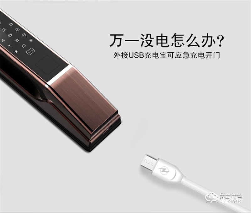 佰德龙智能锁 Q9人脸识别锁智能门锁掌纹锁